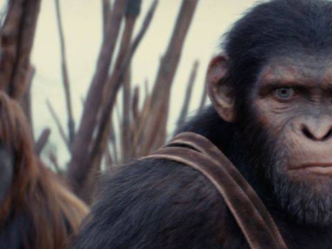 Novas fotos divulgadas dos Planeta dos Macacos, O Reinado.