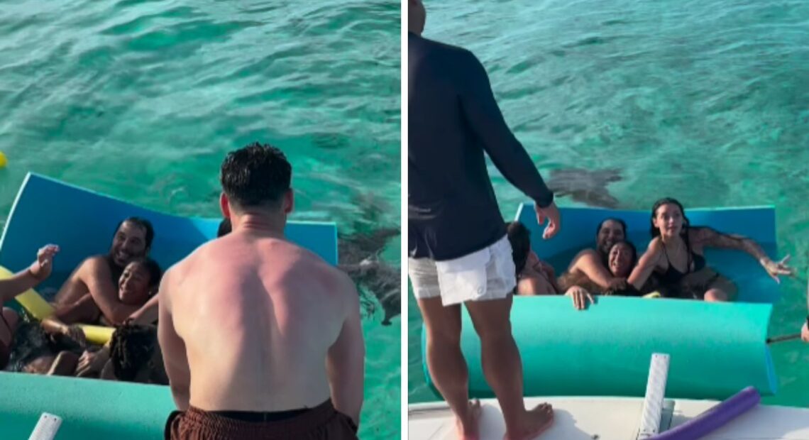 Xanddy e sua família encaram encontro com tubarão em alto mar