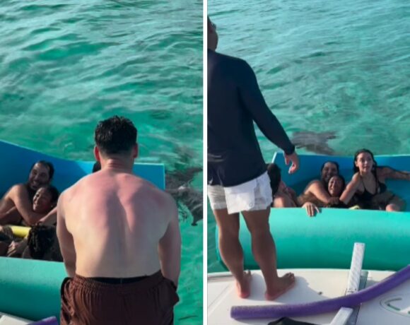 Xanddy e sua família encaram encontro com tubarão em alto mar